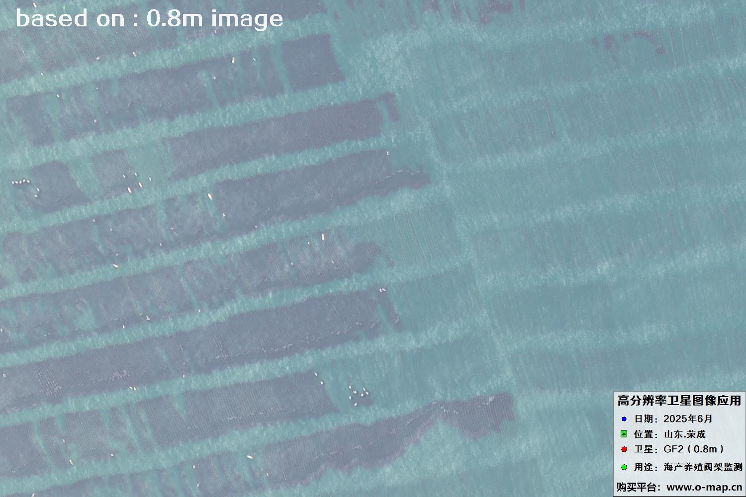 高分二号卫星2025年6月拍摄的山东省荣成市海产养殖卫星图像