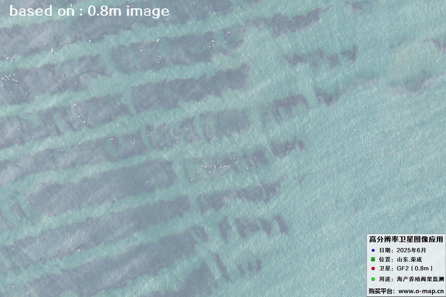 高分二号卫星2025年6月拍摄的山东省荣成市海产养殖卫星图像
