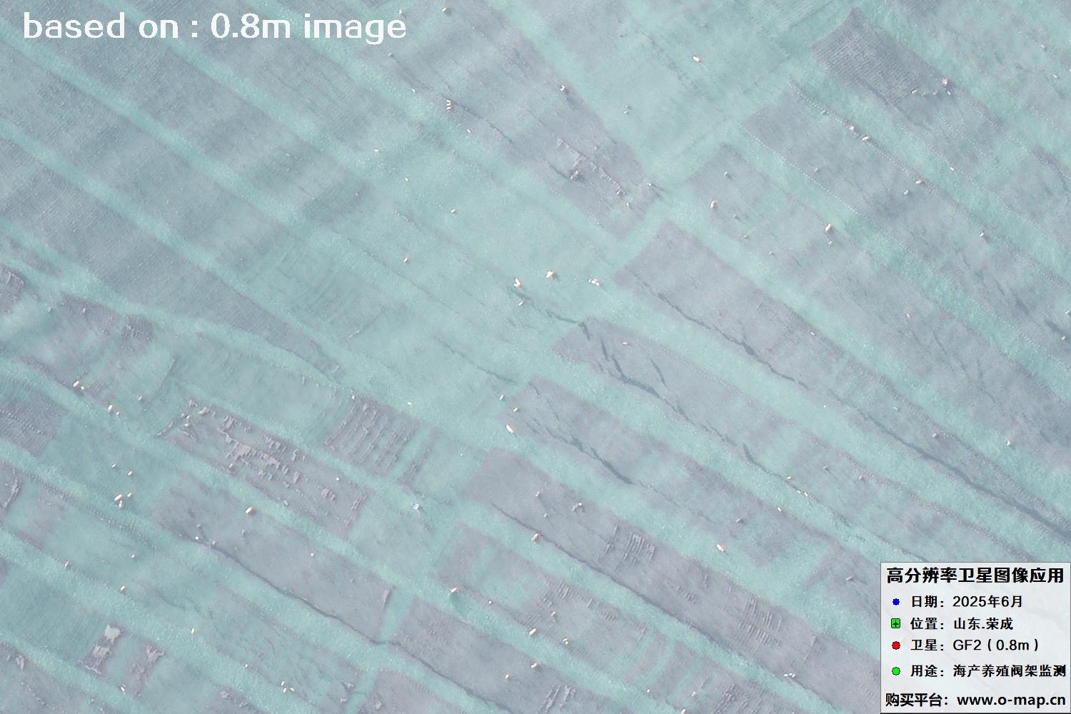 高分二号卫星2025年6月拍摄的山东省荣成市海产养殖卫星图像