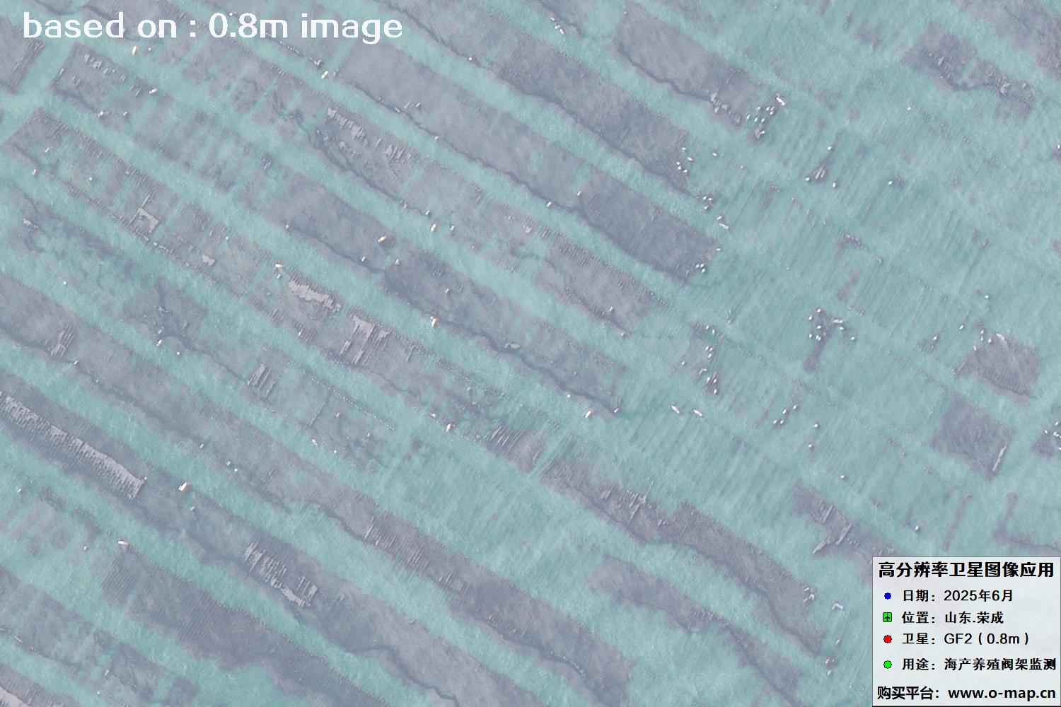 高分二号卫星2025年6月拍摄的山东省荣成市海产养殖卫星图像
