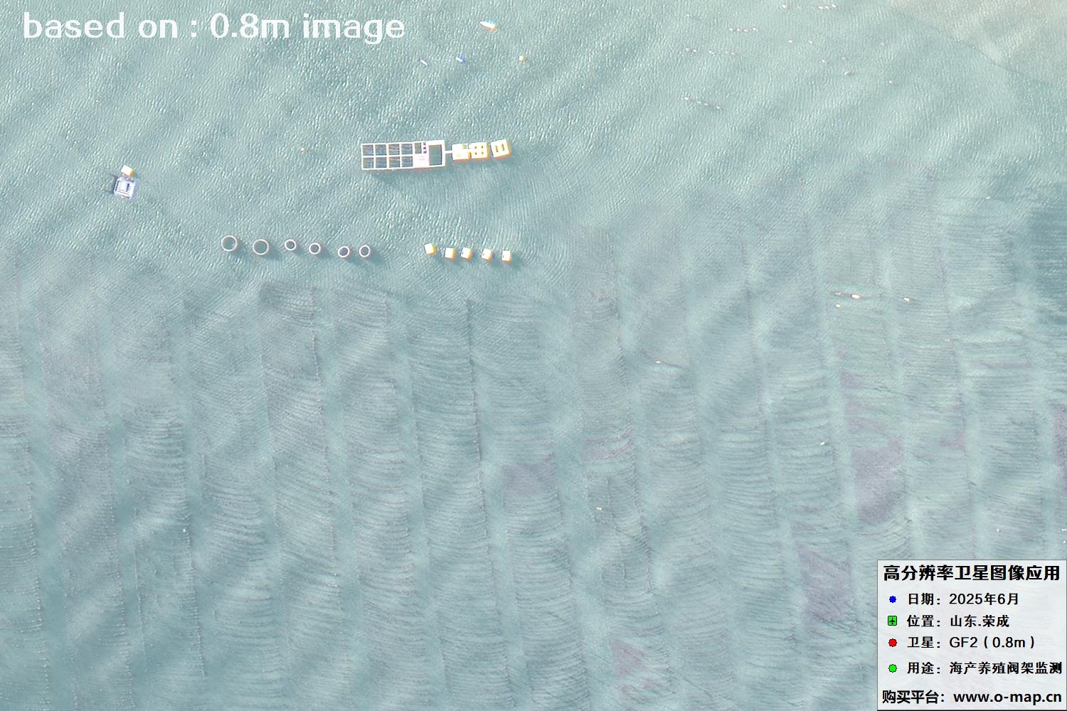 高分二号卫星2025年6月拍摄的山东省荣成市海产养殖卫星图像