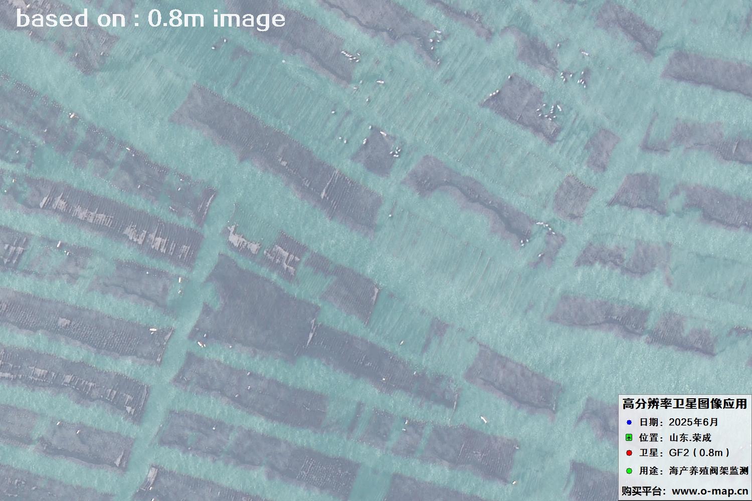高分二号卫星2025年6月拍摄的山东省荣成市海产养殖卫星图像