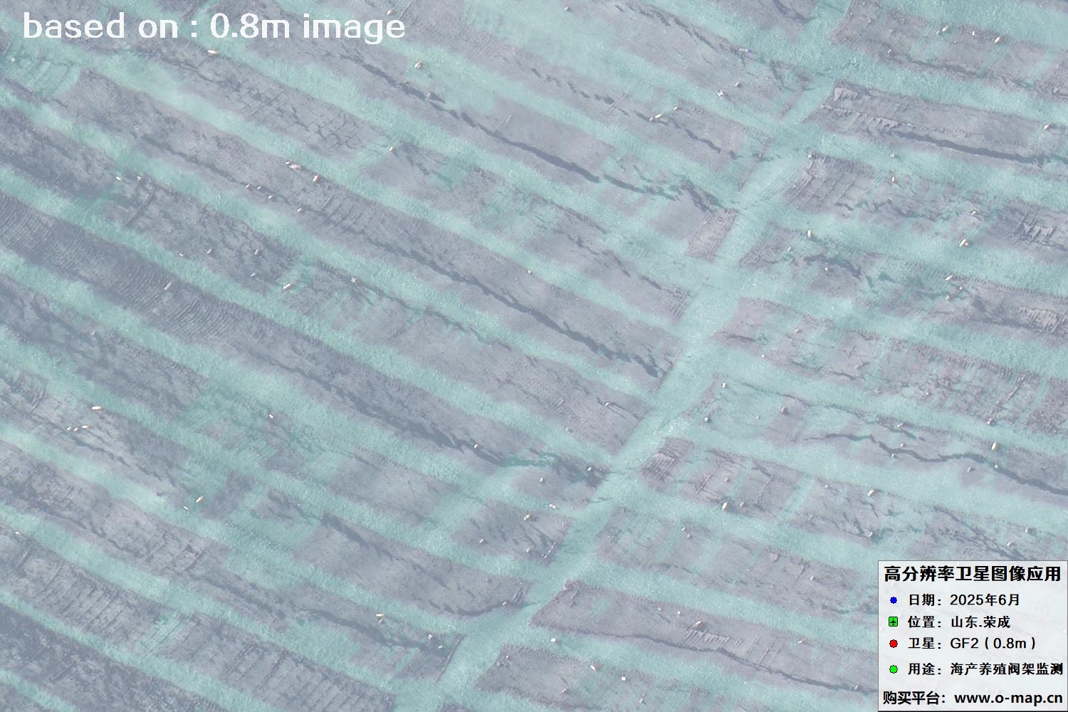 高分二号卫星2025年6月拍摄的山东省荣成市海产养殖卫星图像