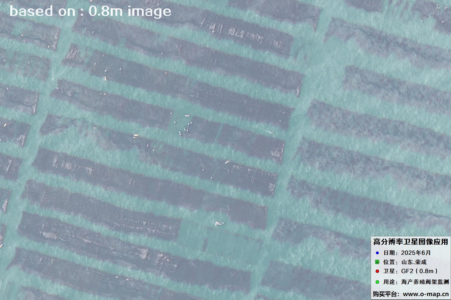 高分二号卫星2025年6月拍摄的山东省荣成市海产养殖卫星图像