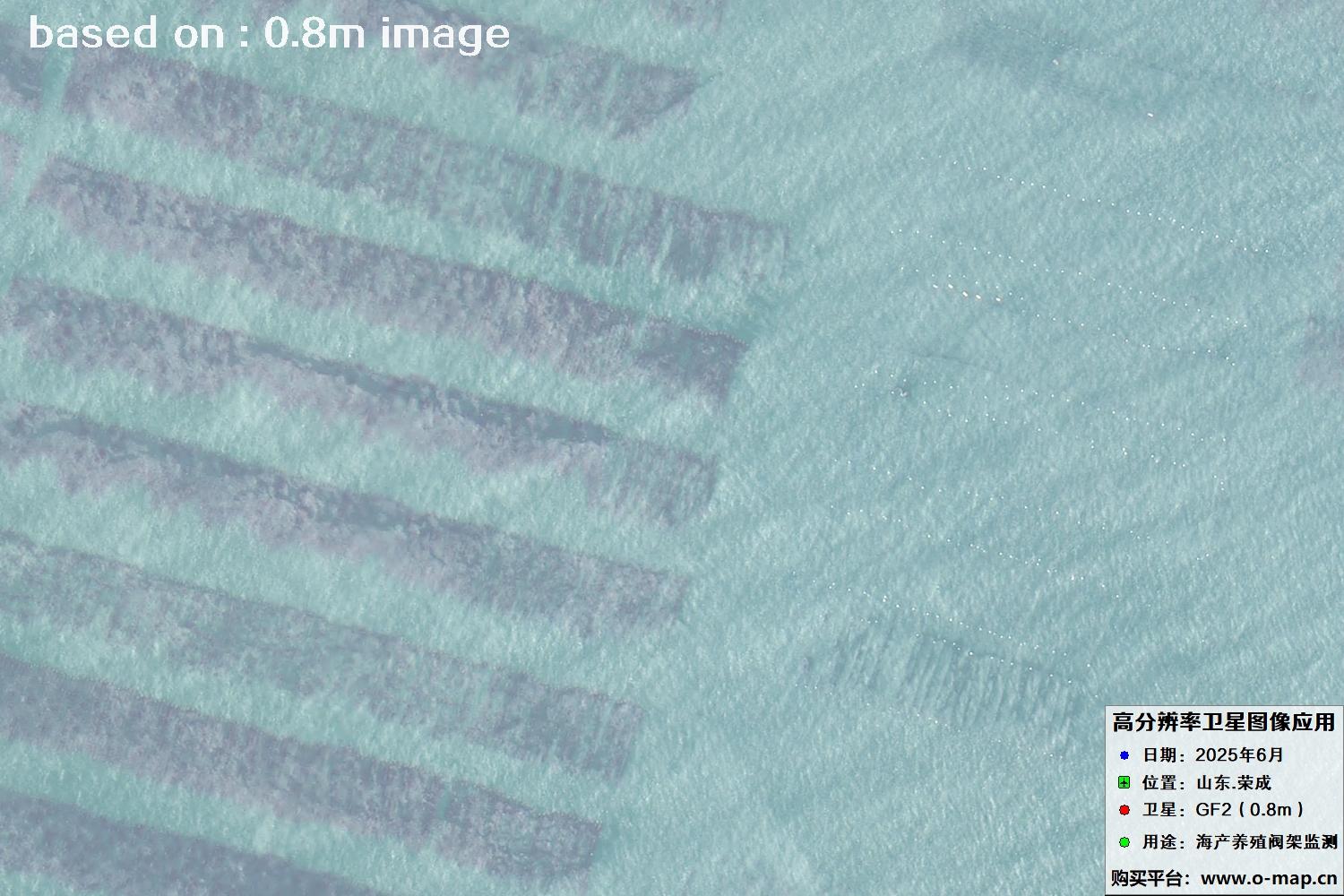 高分二号卫星2025年6月拍摄的山东省荣成市海产养殖卫星图像