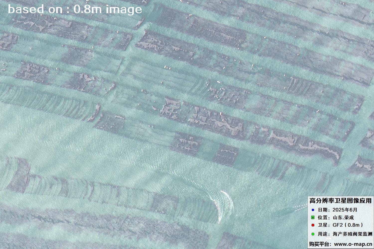 高分二号卫星2025年6月拍摄的山东省荣成市海产养殖卫星图像