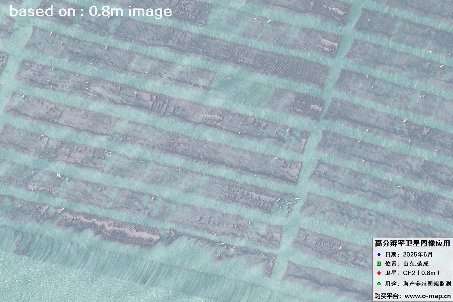 高分二号卫星2025年6月拍摄的山东省荣成市海产养殖卫星图像