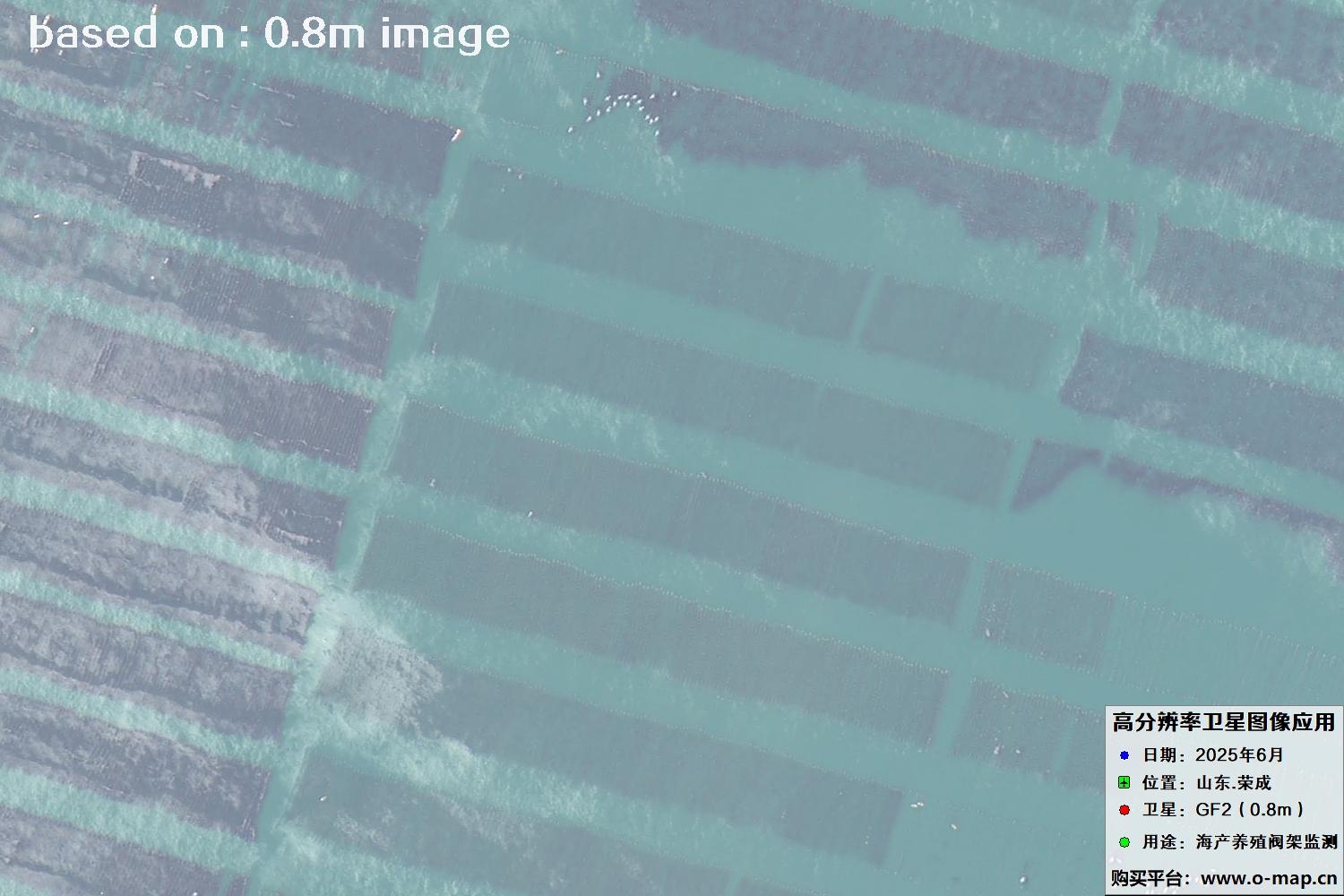 高分二号卫星2025年6月拍摄的山东省荣成市海产养殖卫星图像