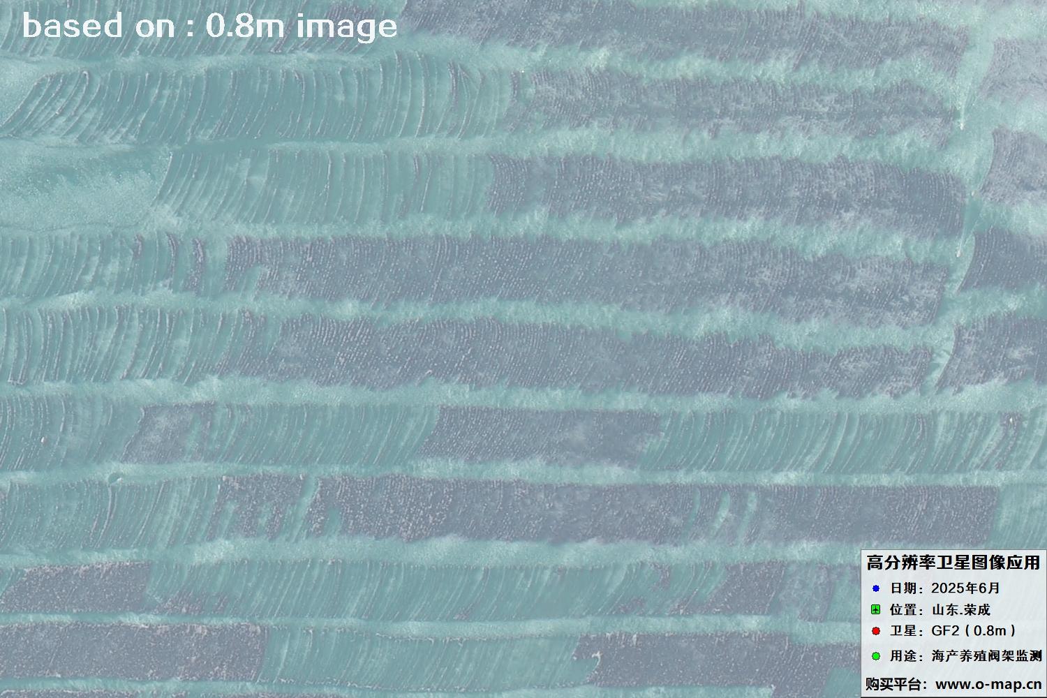 高分二号卫星2025年6月拍摄的山东省荣成市海产养殖卫星图像
