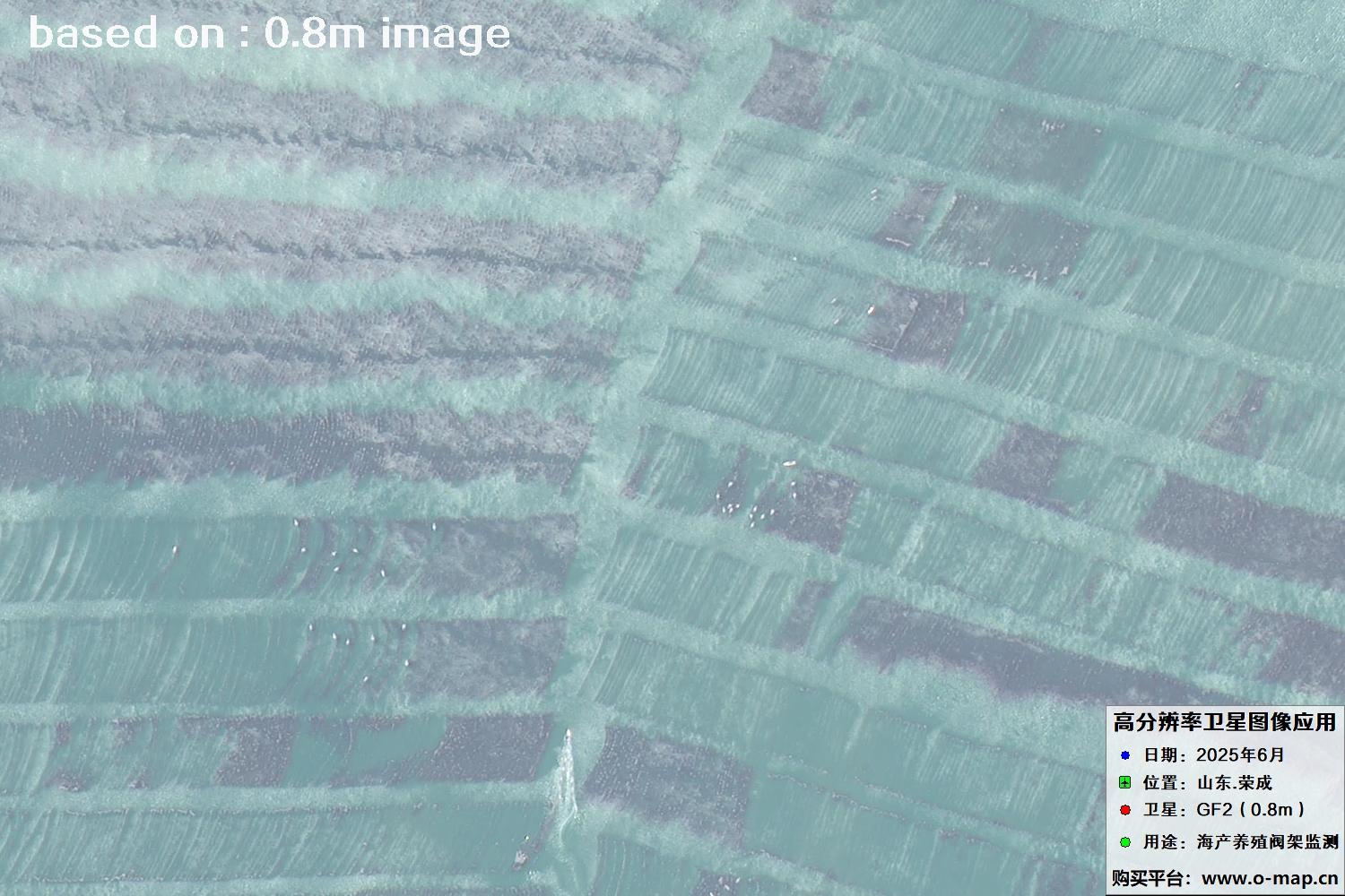 高分二号卫星2025年6月拍摄的山东省荣成市海产养殖卫星图像