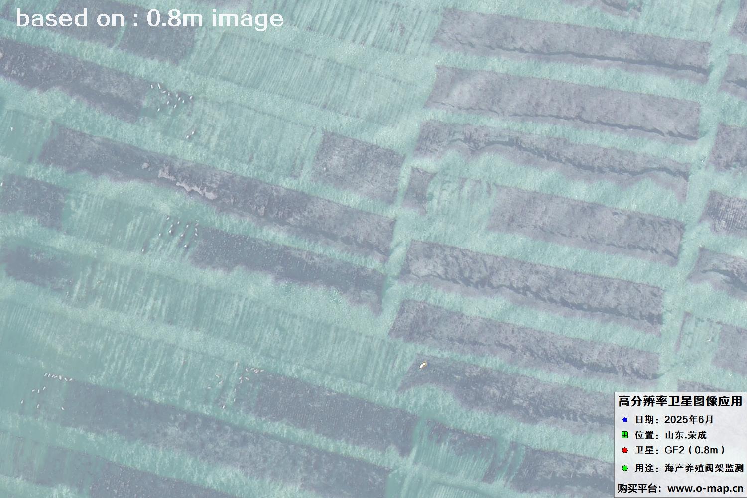 高分二号卫星2025年6月拍摄的山东省荣成市海产养殖卫星图像