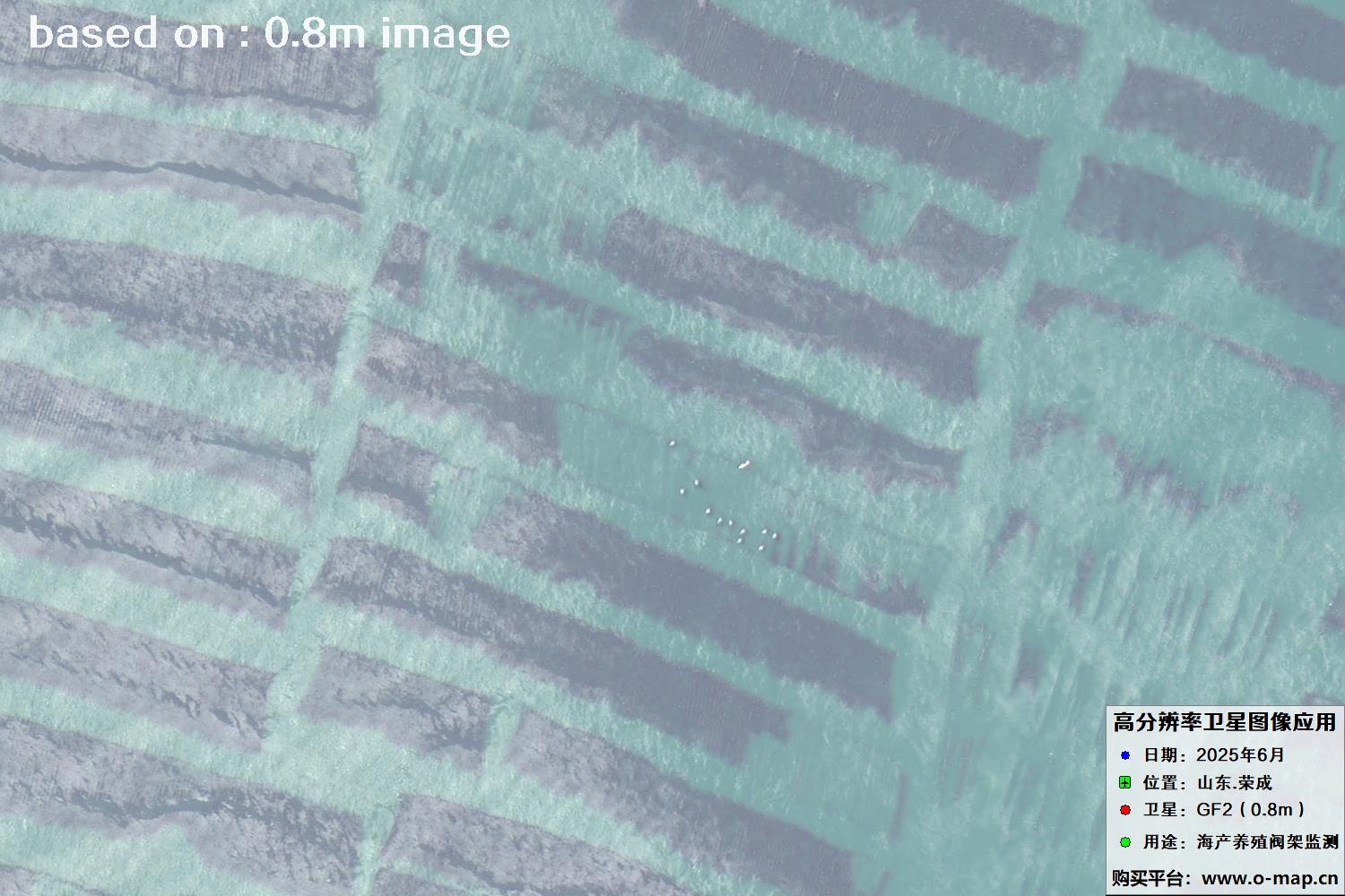高分二号卫星2025年6月拍摄的山东省荣成市海产养殖卫星图像