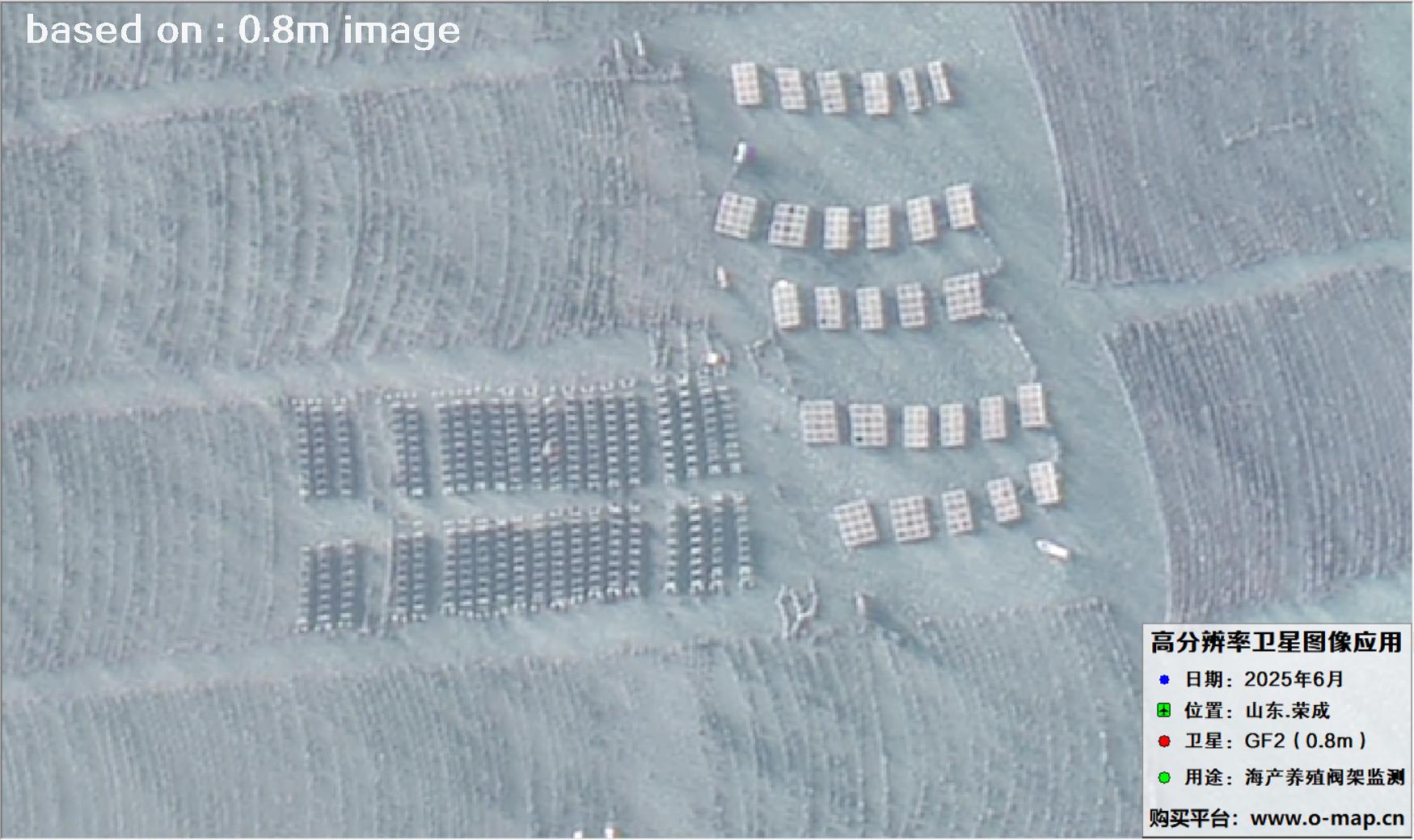高分二号卫星2025年6月拍摄的山东省荣成市海产养殖卫星图像
