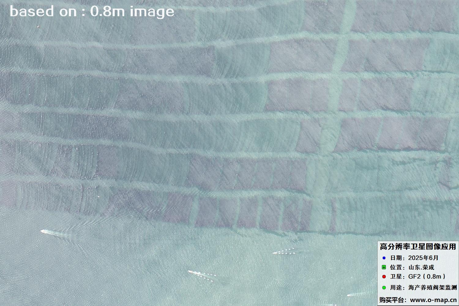 高分二号卫星2025年6月拍摄的山东省荣成市海产养殖卫星图像
