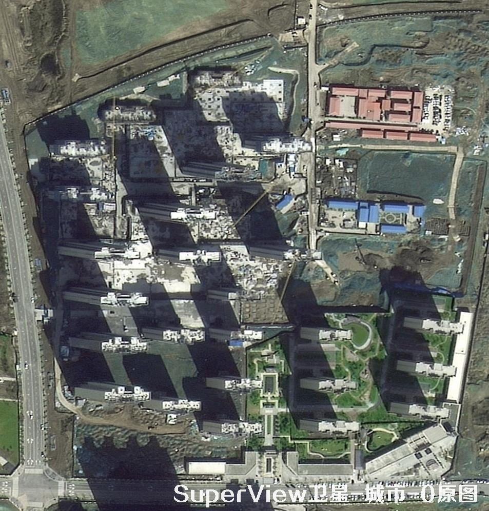 样图