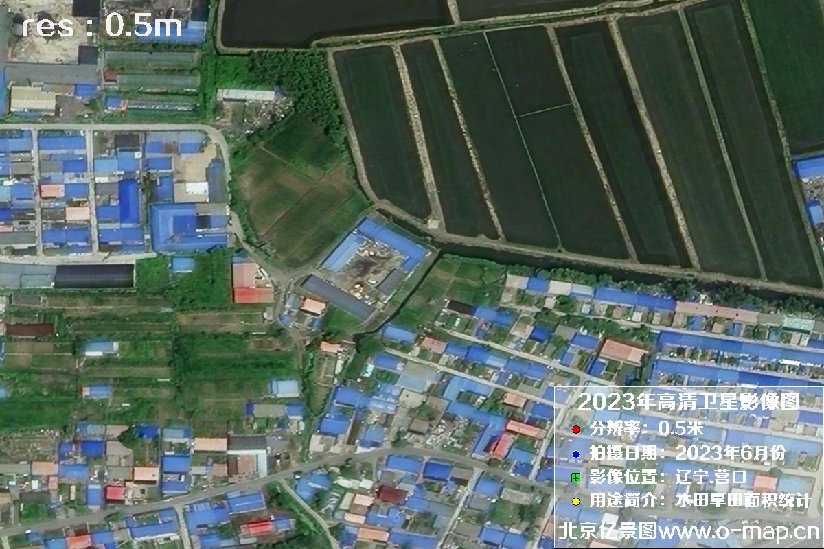 辽宁省营口市灌区2023年6月份0.5米卫星影像图