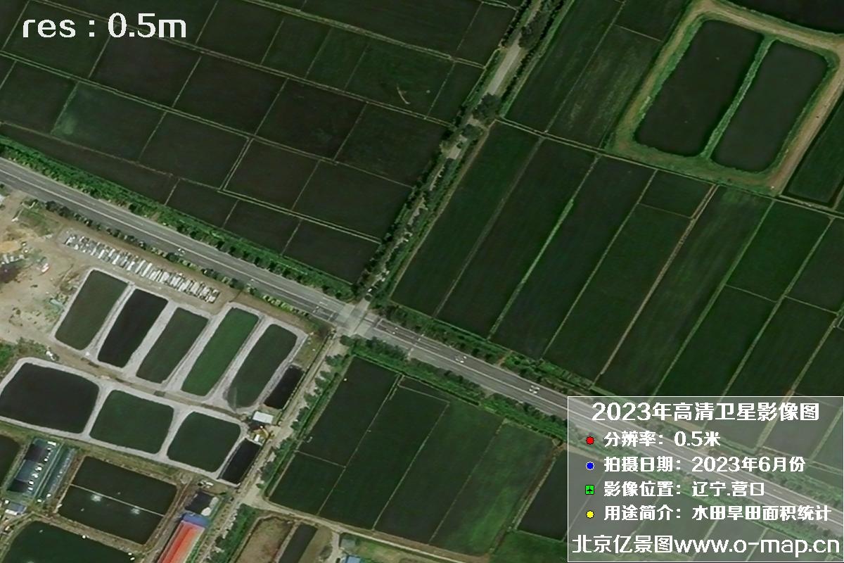 辽宁省营口市灌区2023年6月份0.5米卫星影像图