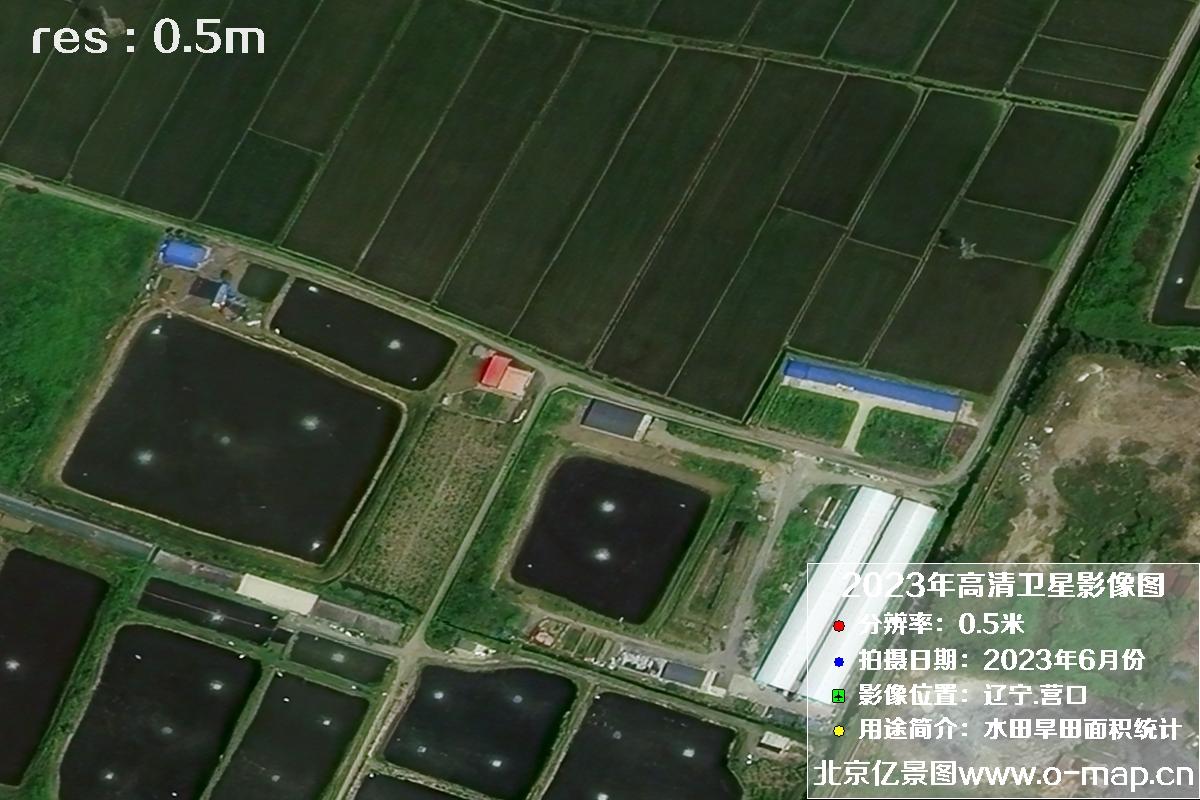 辽宁省营口市灌区2023年6月份0.5米卫星影像图
