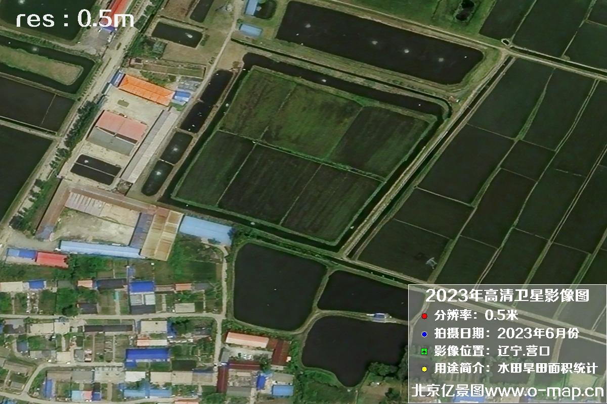 辽宁省营口市灌区2023年6月份0.5米卫星影像图