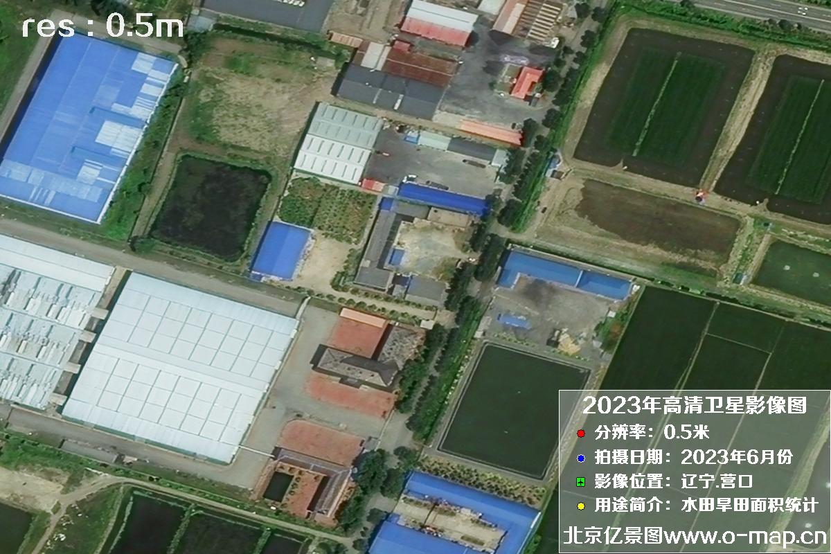 辽宁省营口市灌区2023年6月份0.5米卫星影像图