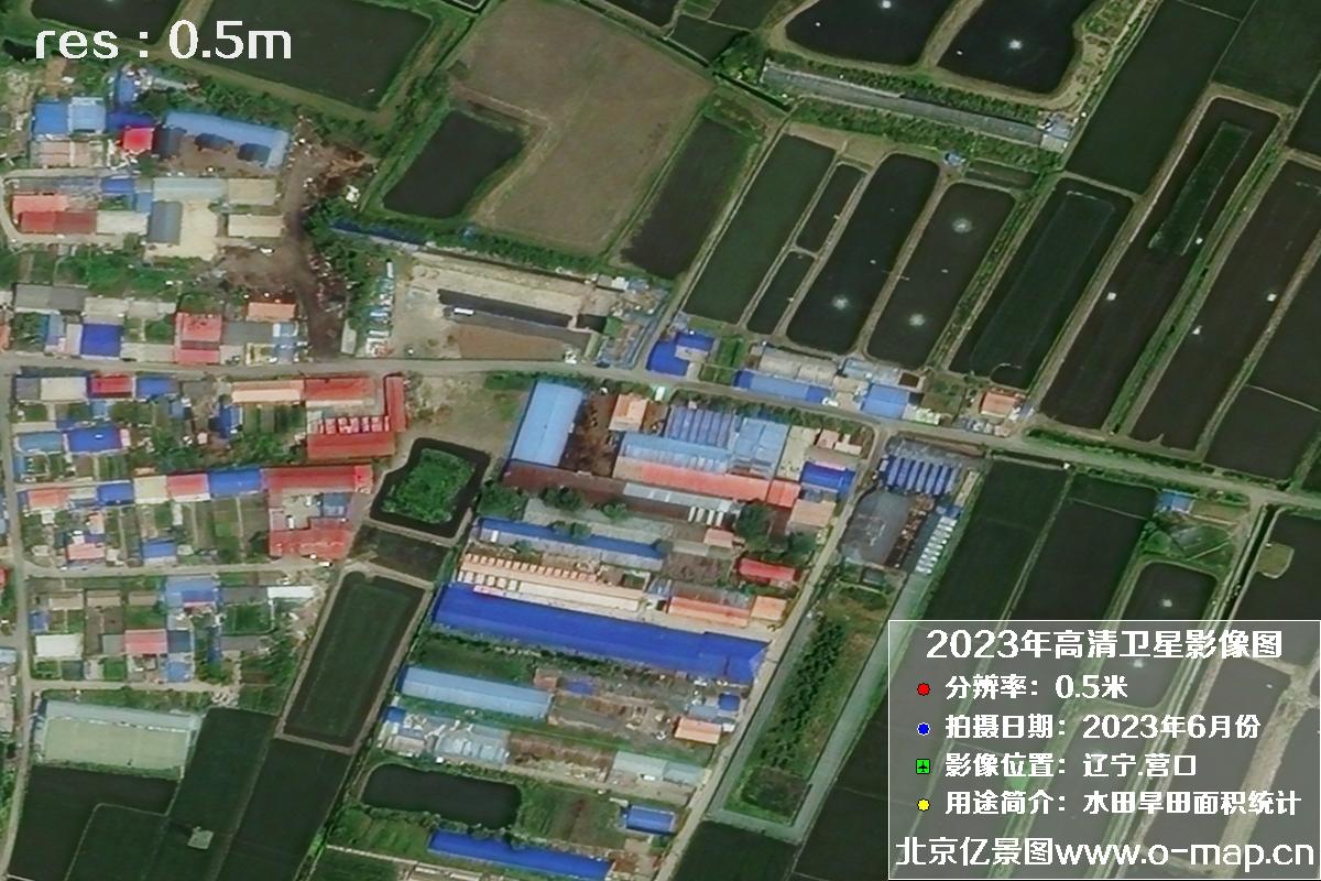 辽宁省营口市灌区2023年6月份0.5米卫星影像图