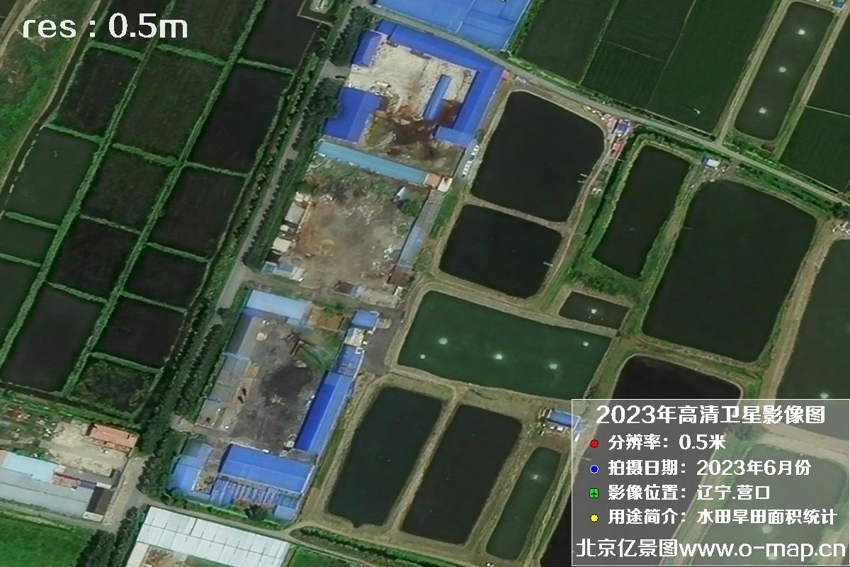 辽宁省营口市灌区2023年6月份0.5米卫星影像图