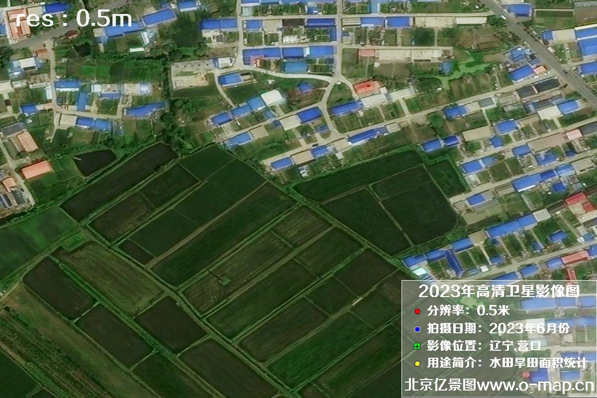辽宁省营口市灌区2023年6月份0.5米卫星影像图