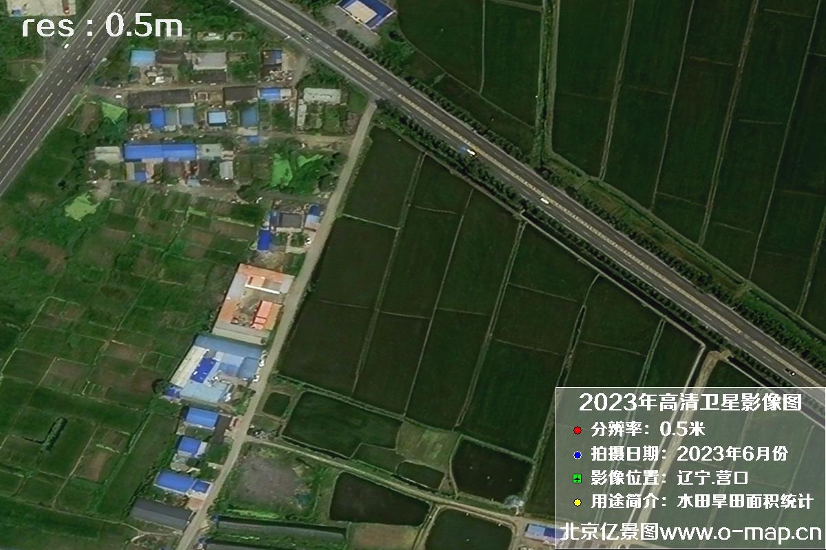 辽宁省营口市灌区2023年6月份0.5米卫星影像图