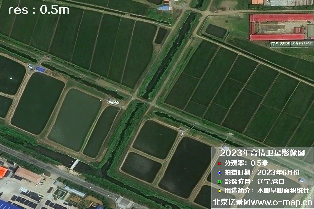 辽宁省营口市灌区2023年6月份0.5米卫星影像图