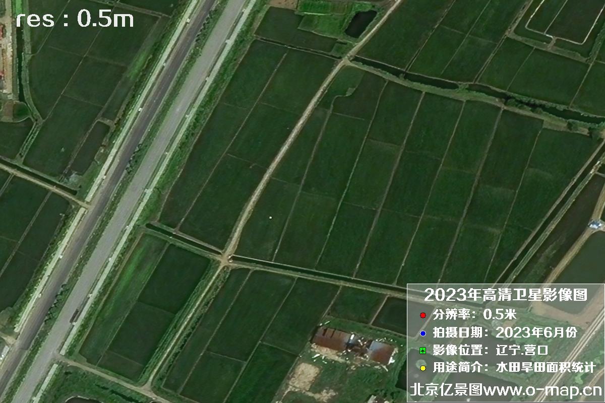辽宁省营口市灌区2023年6月份0.5米卫星影像图