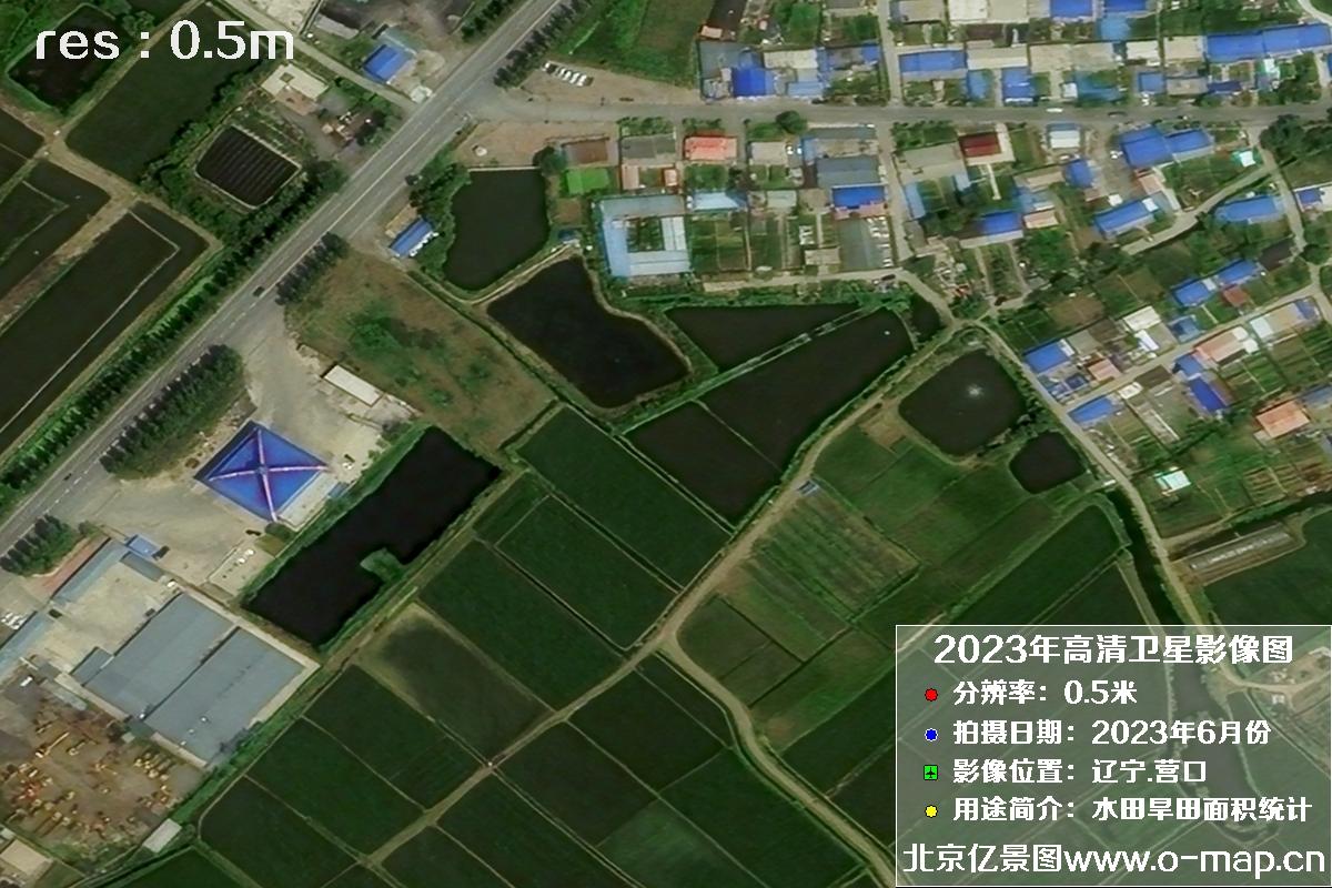 辽宁省营口市灌区2023年6月份0.5米卫星影像图