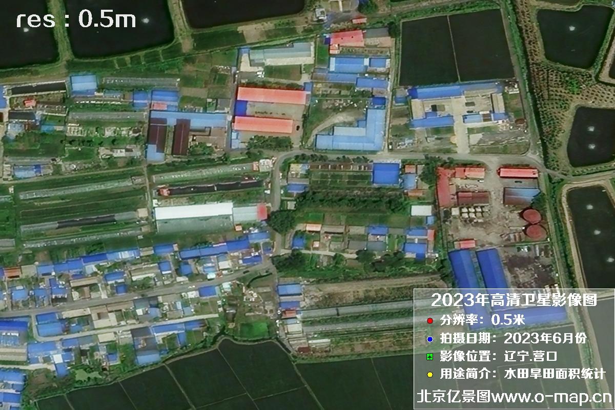 辽宁省营口市灌区2023年6月份0.5米卫星影像图