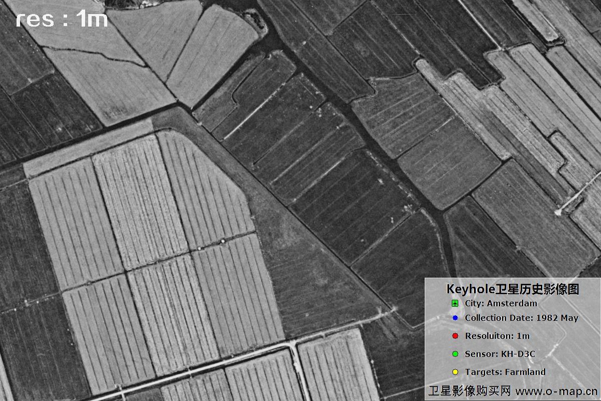 美国锁眼卫星展示1982年阿姆斯特丹农田历史面貌影像图