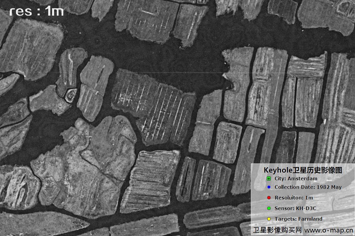 美国锁眼卫星展示1982年阿姆斯特丹农田历史面貌影像图