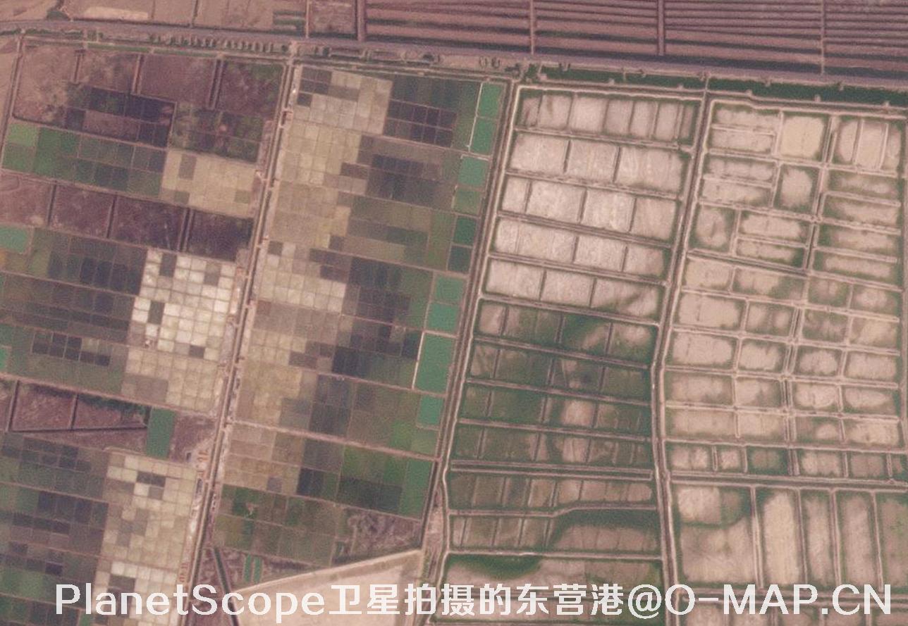 PlanetScope卫星拍摄的东营港开发区卫星图片