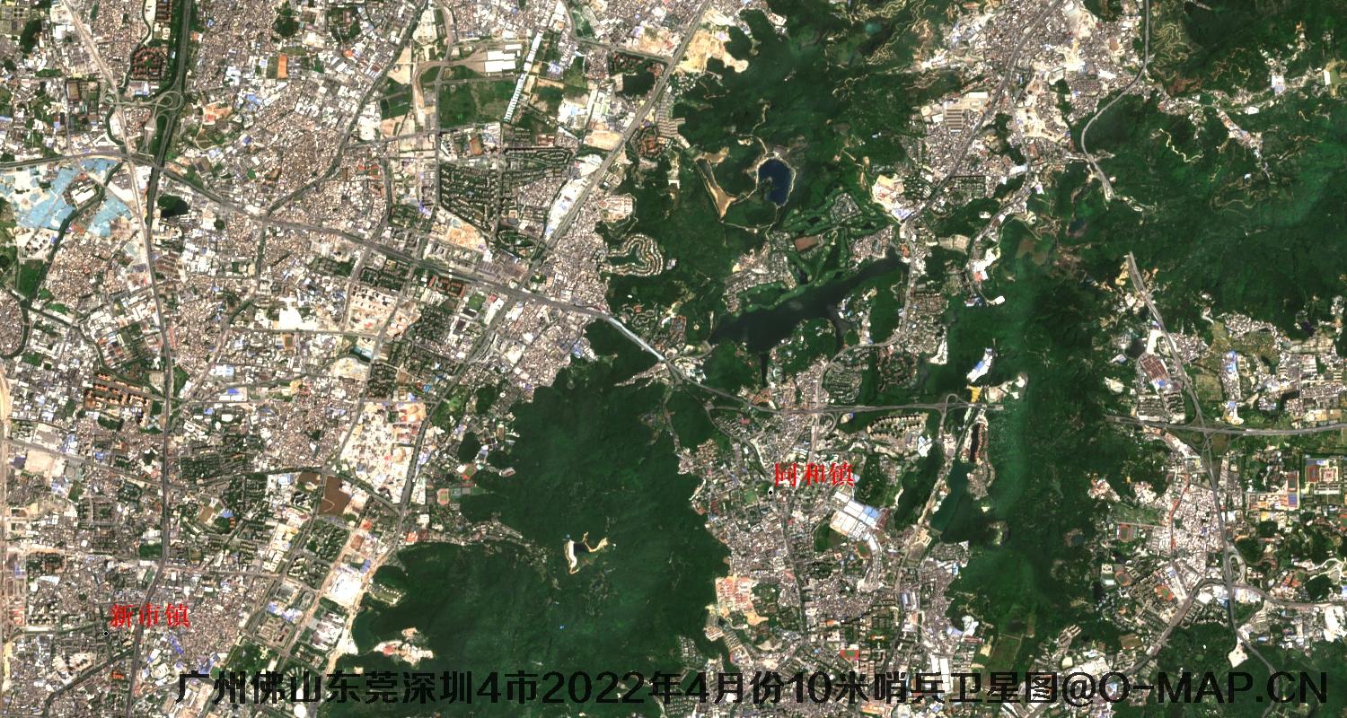广东省广州市东莞市佛山市深圳市2022年4月份10米哨兵卫星图