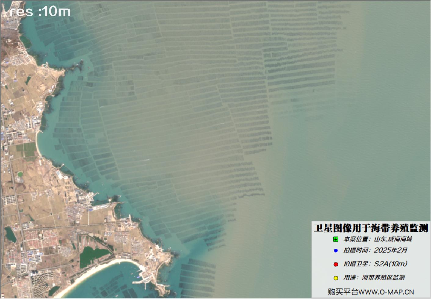 10米哨兵卫星2025年2月拍摄的威海荣成海带养殖区卫星图像