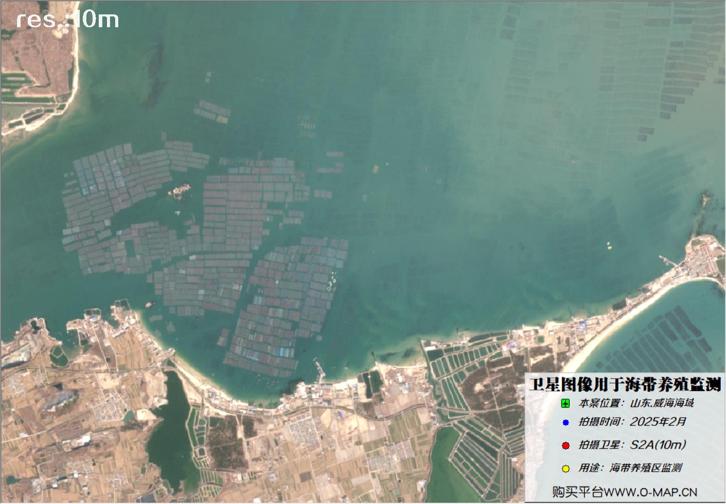 10米哨兵卫星2025年2月拍摄的威海荣成海带养殖区卫星图像