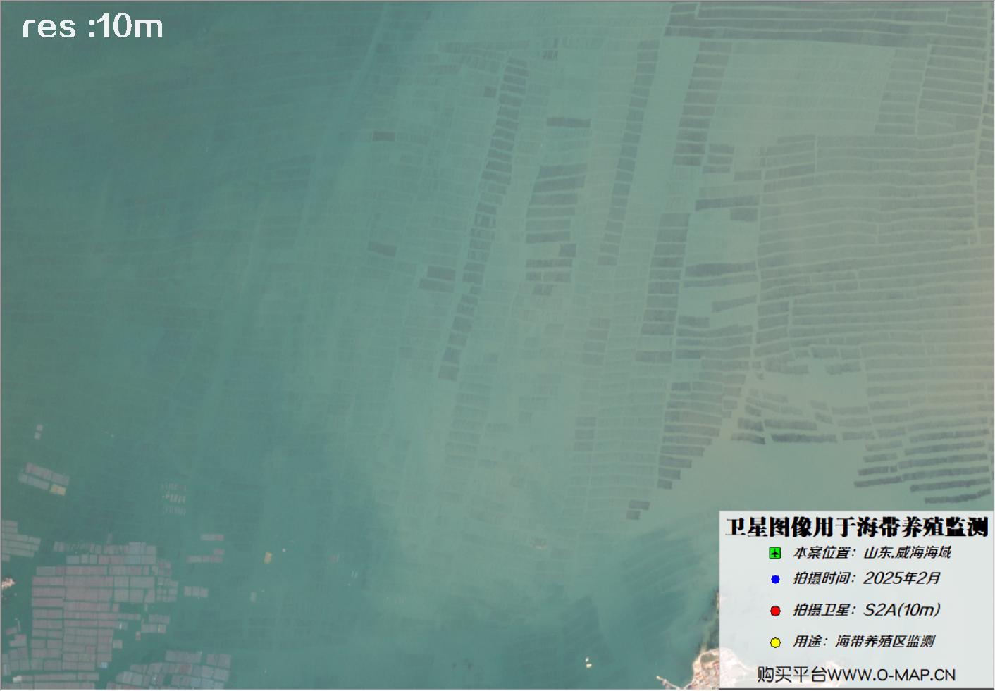 10米哨兵卫星2025年2月拍摄的威海荣成海带养殖区卫星图像