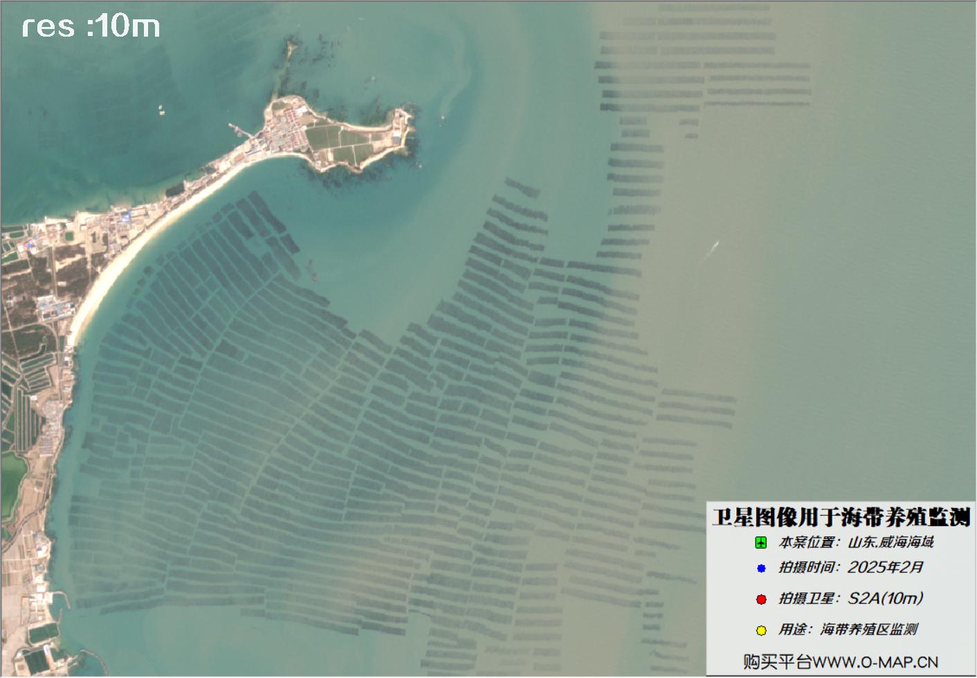 10米哨兵卫星2025年2月拍摄的威海荣成海带养殖区卫星图像