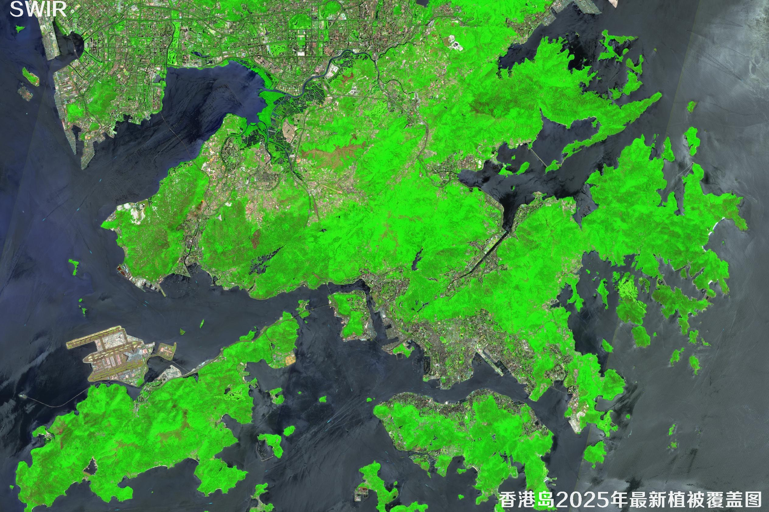 香港岛2025年最新植被覆盖图SWIR数据