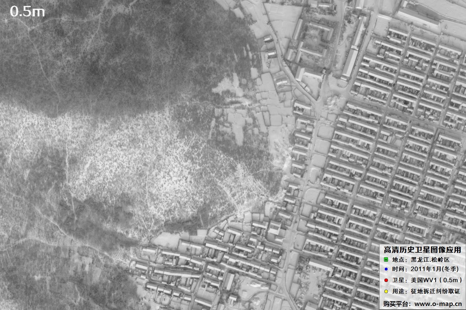 WorldView1卫星2011年拍摄的哈尔滨冬季影像图