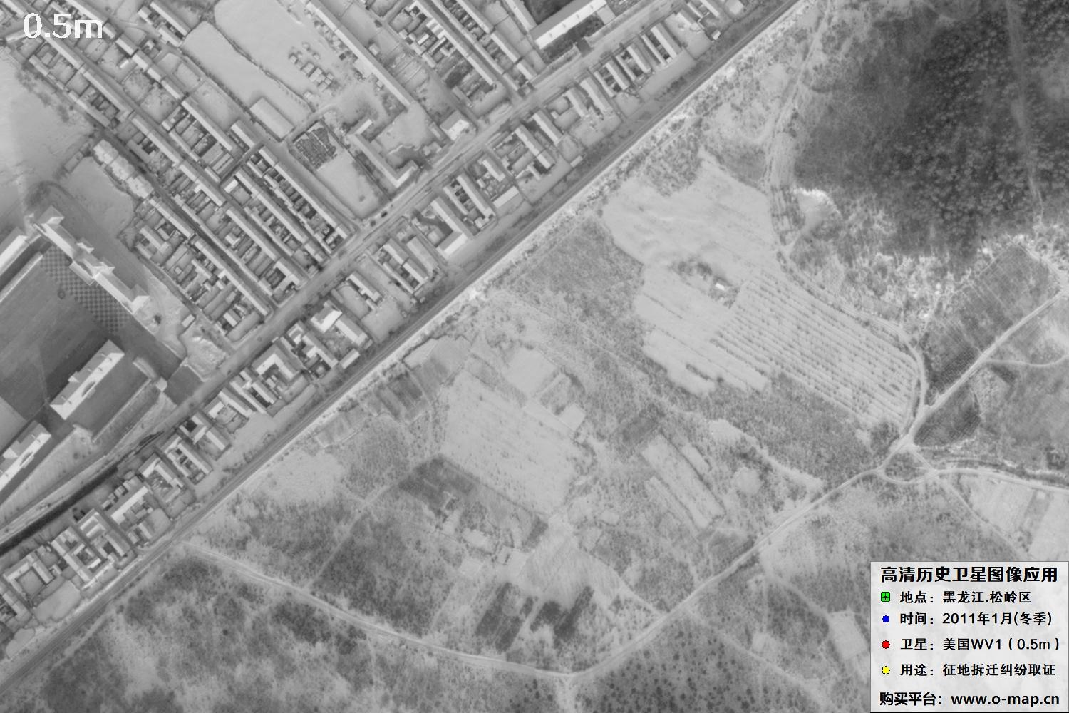 WorldView1卫星2011年拍摄的哈尔滨冬季影像图