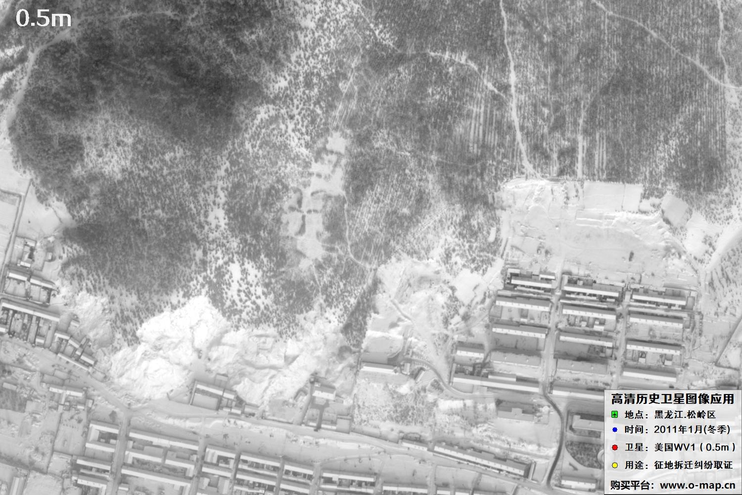 WorldView1卫星2011年拍摄的哈尔滨冬季影像图