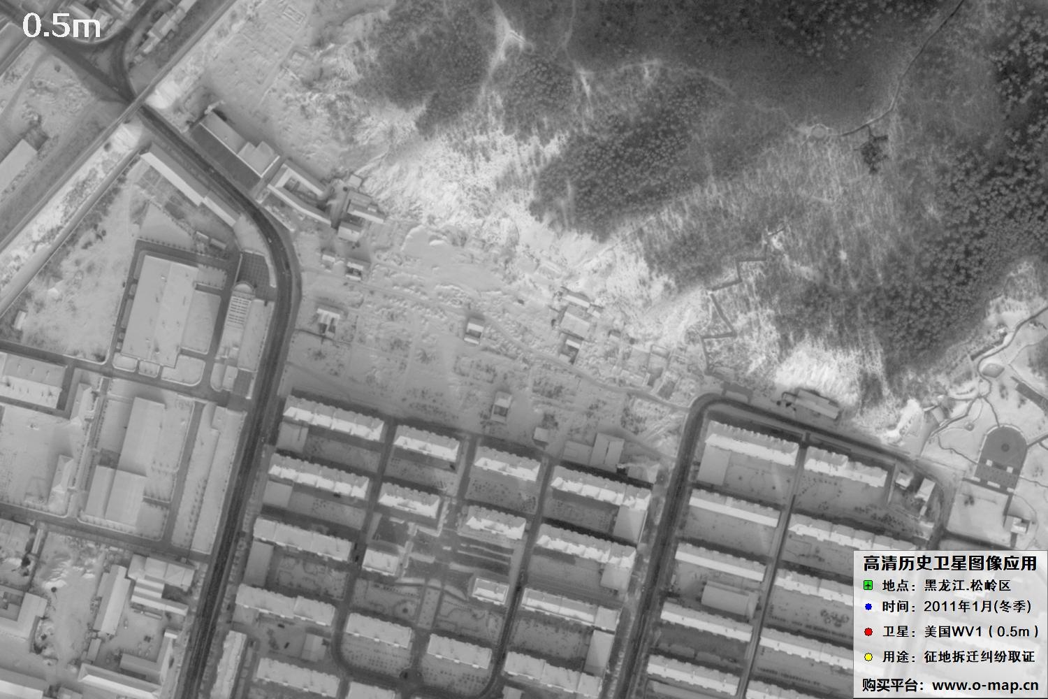 WorldView1卫星2011年拍摄的哈尔滨冬季影像图