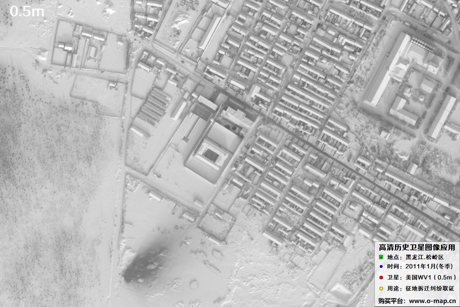 WorldView1卫星2011年拍摄的哈尔滨冬季影像图