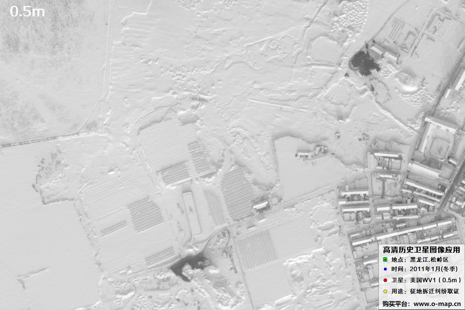 WorldView1卫星2011年拍摄的哈尔滨冬季影像图
