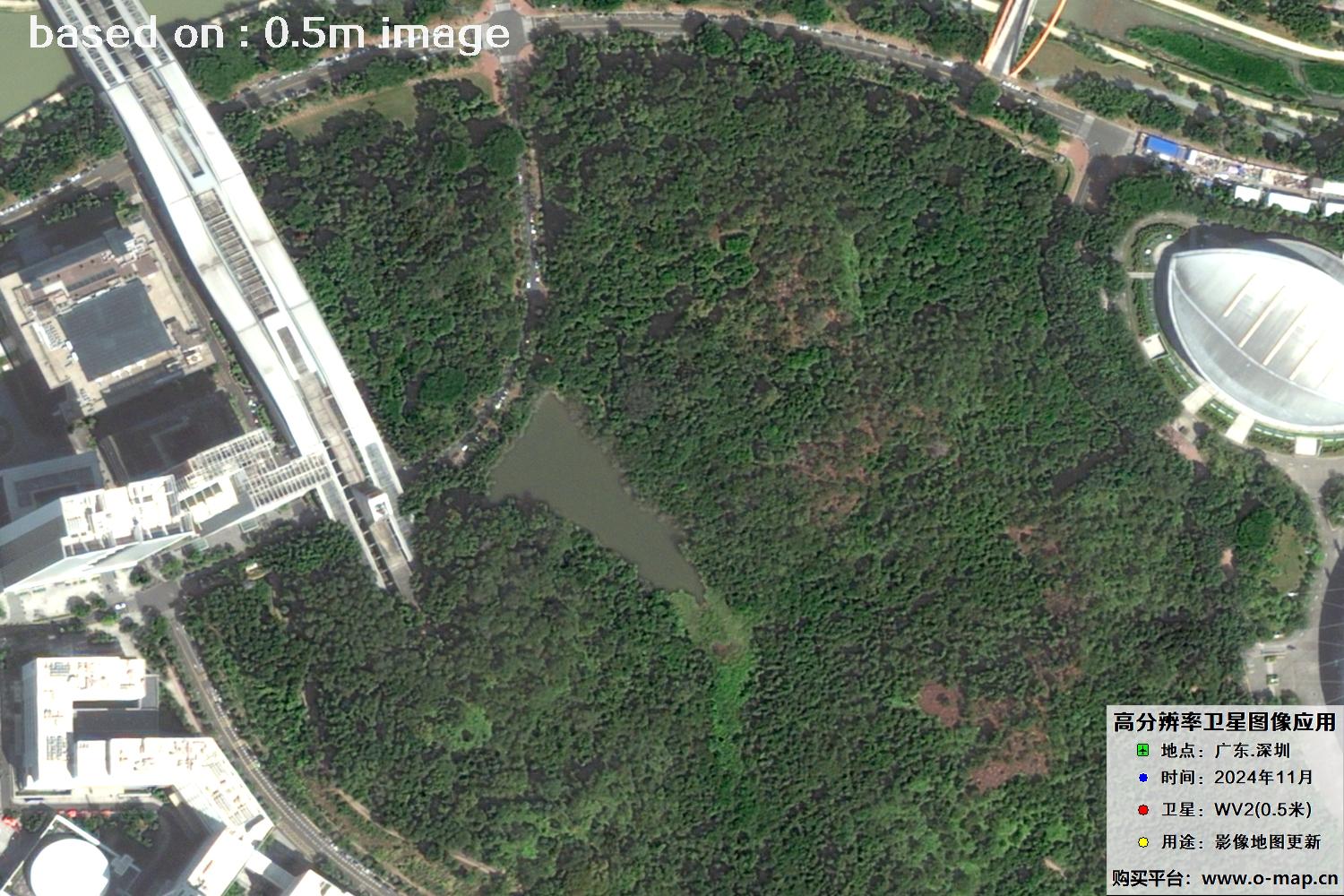 WorldView2卫星2024年11月份拍摄的深圳市0.5米卫星图像