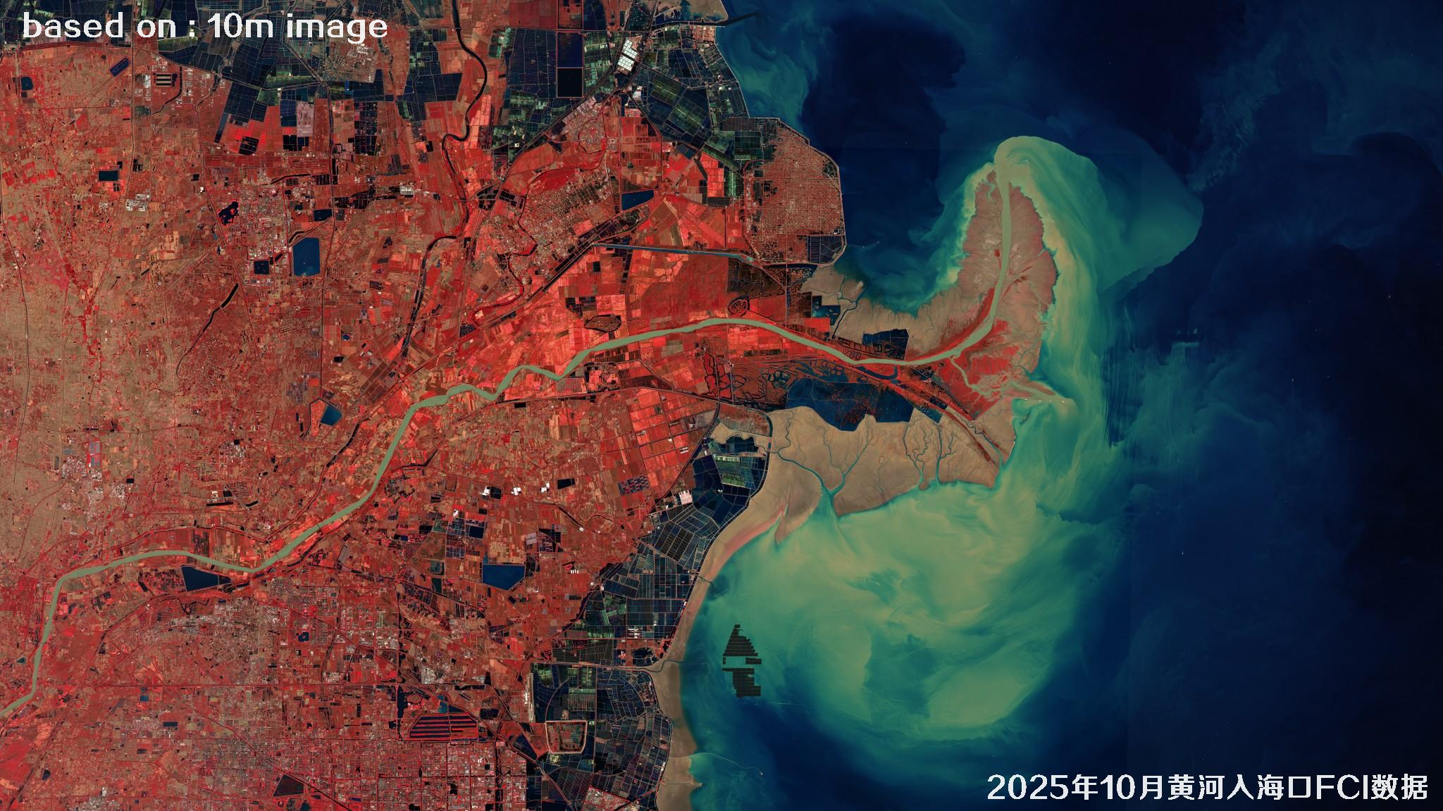 黄河三角洲2025年10月【FCI-FCIU-NDWI-SCL-SWIR-TCI】多光谱数据