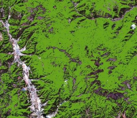 基于10米哨兵2号卫星影像数据的林业光谱分析图